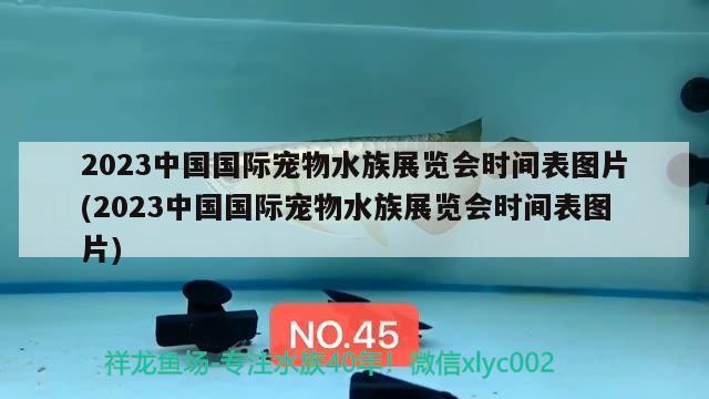 2023中國國際寵物水族展覽會(huì)時(shí)間表圖片(2023中國國際寵物水族展覽會(huì)時(shí)間表圖片)