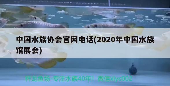 中國水族協(xié)會官網(wǎng)電話(2020年中國水族館展會)