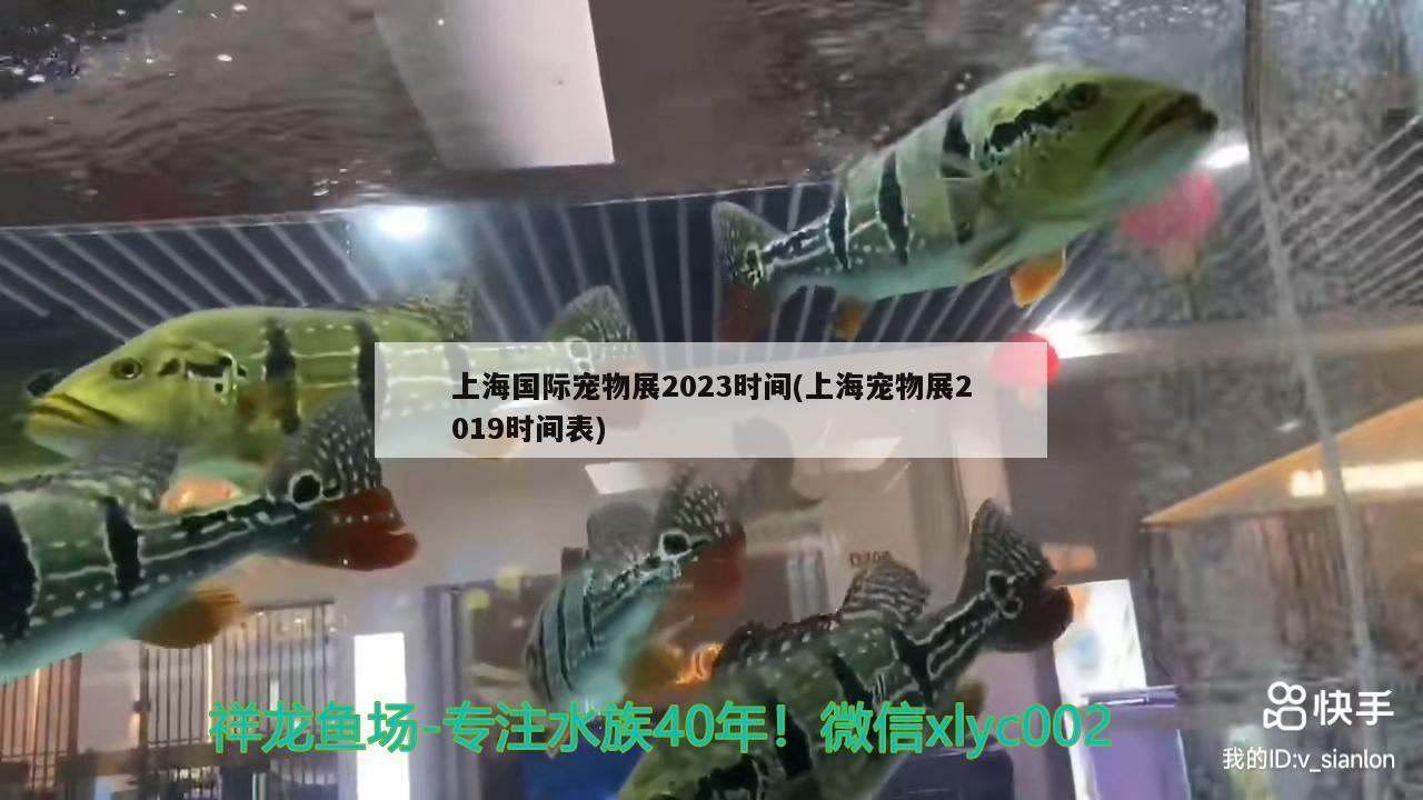 上海國(guó)際寵物展2023時(shí)間(上海寵物展2019時(shí)間表)