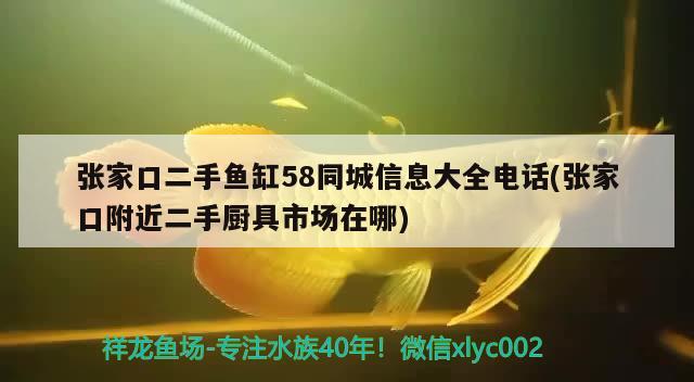 張家口二手魚缸58同城信息大全電話(張家口附近二手廚具市場(chǎng)在哪)