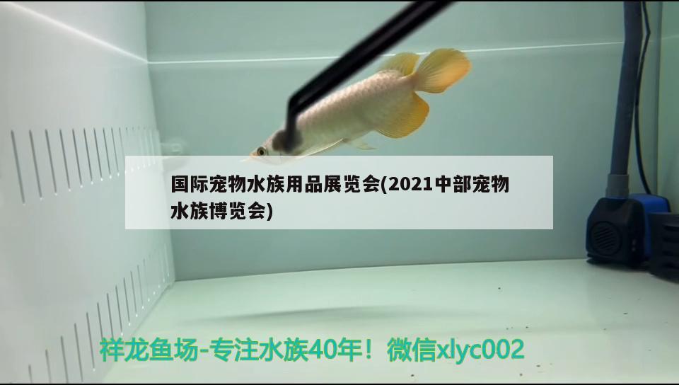 國際寵物水族用品展覽會(2021中部寵物水族博覽會)