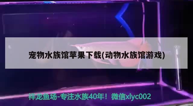 寵物水族館蘋果下載(動物水族館游戲) 2024第28屆中國國際寵物水族展覽會CIPS（長城寵物展2024 CIPS） 第2張