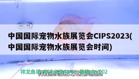 中國(guó)國(guó)際寵物水族展覽會(huì)CIPS2023(中國(guó)國(guó)際寵物水族展覽會(huì)時(shí)間) 水族展會(huì)