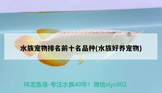 水族寵物排名前十名品種(水族好養(yǎng)寵物) 2024第28屆中國國際寵物水族展覽會CIPS（長城寵物展2024 CIPS）