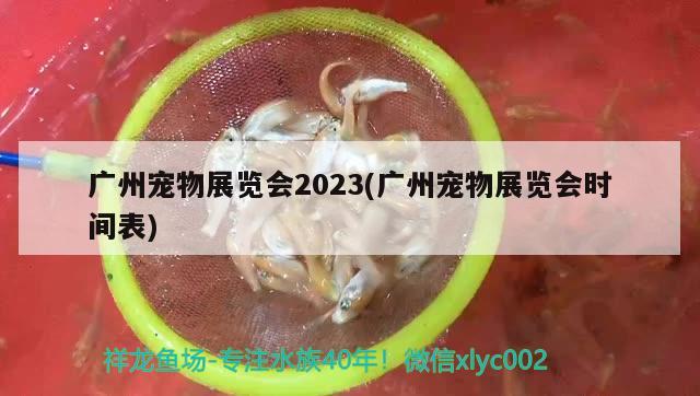 廣州寵物展覽會2023(廣州寵物展覽會時間表)