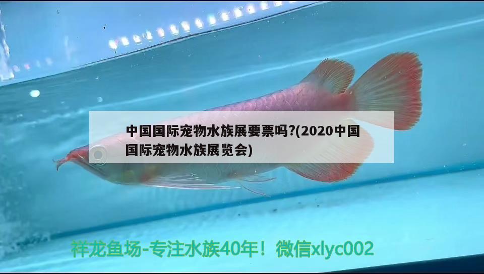 中國(guó)國(guó)際寵物水族展要票嗎?(2020中國(guó)國(guó)際寵物水族展覽會(huì)) 水族展會(huì)