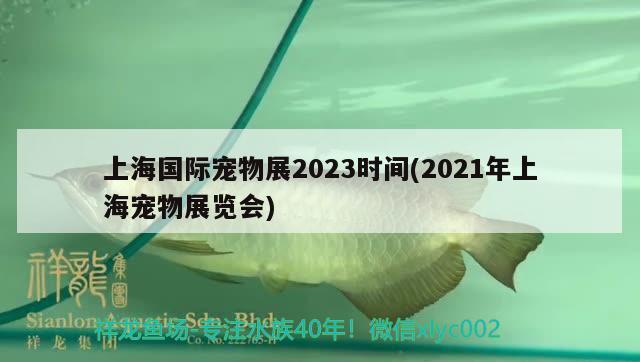 上海國際寵物展2023時間(2021年上海寵物展覽會)