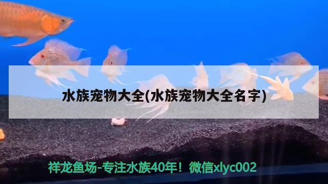 水族寵物大全(水族寵物大全名字)