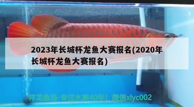 2023年長(zhǎng)城杯龍魚大賽報(bào)名(2020年長(zhǎng)城杯龍魚大賽報(bào)名)