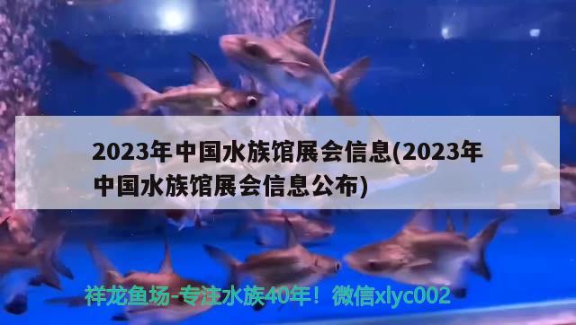 2023年中國水族館展會信息(2023年中國水族館展會信息公布)