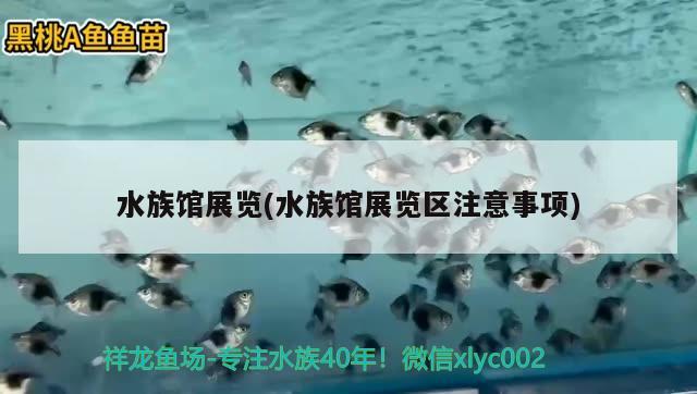 水族館展覽(水族館展覽區(qū)注意事項(xiàng))