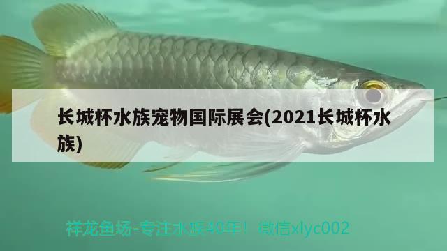 長城杯水族寵物國際展會(2021長城杯水族) 2024第28屆中國國際寵物水族展覽會CIPS（長城寵物展2024 CIPS） 第1張