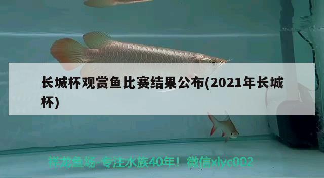 長(zhǎng)城杯觀賞魚比賽結(jié)果公布(2021年長(zhǎng)城杯)