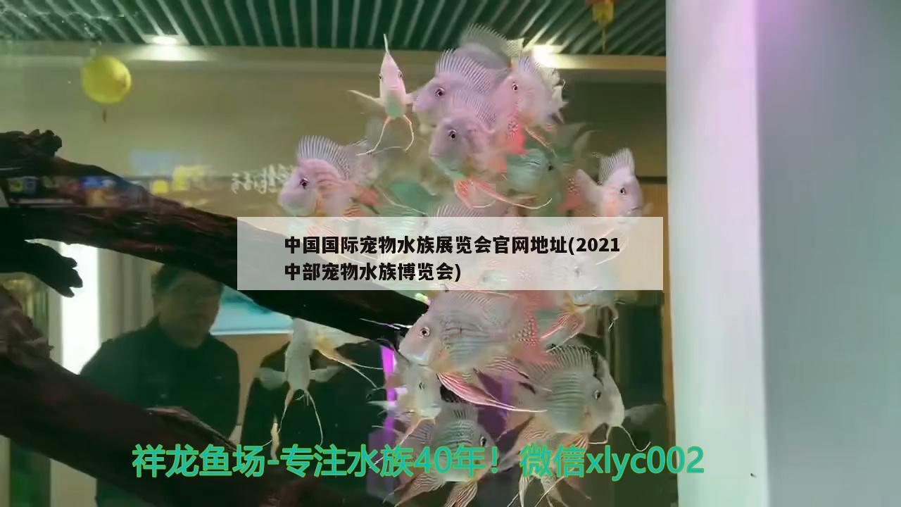 中國國際寵物水族展覽會官網(wǎng)地址(2021中部寵物水族博覽會)