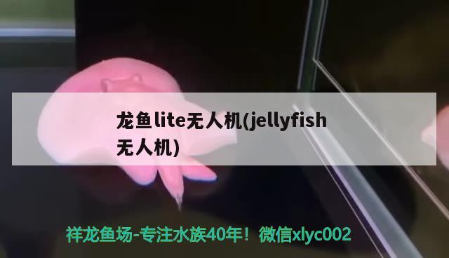 龍魚lite無人機(jellyfish無人機)