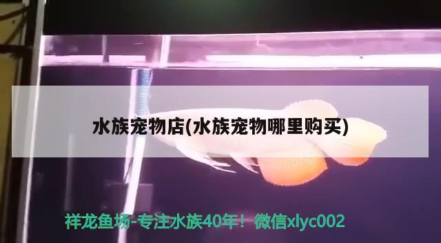 水族寵物店(水族寵物哪里購(gòu)買) 2024第28屆中國(guó)國(guó)際寵物水族展覽會(huì)CIPS（長(zhǎng)城寵物展2024 CIPS）