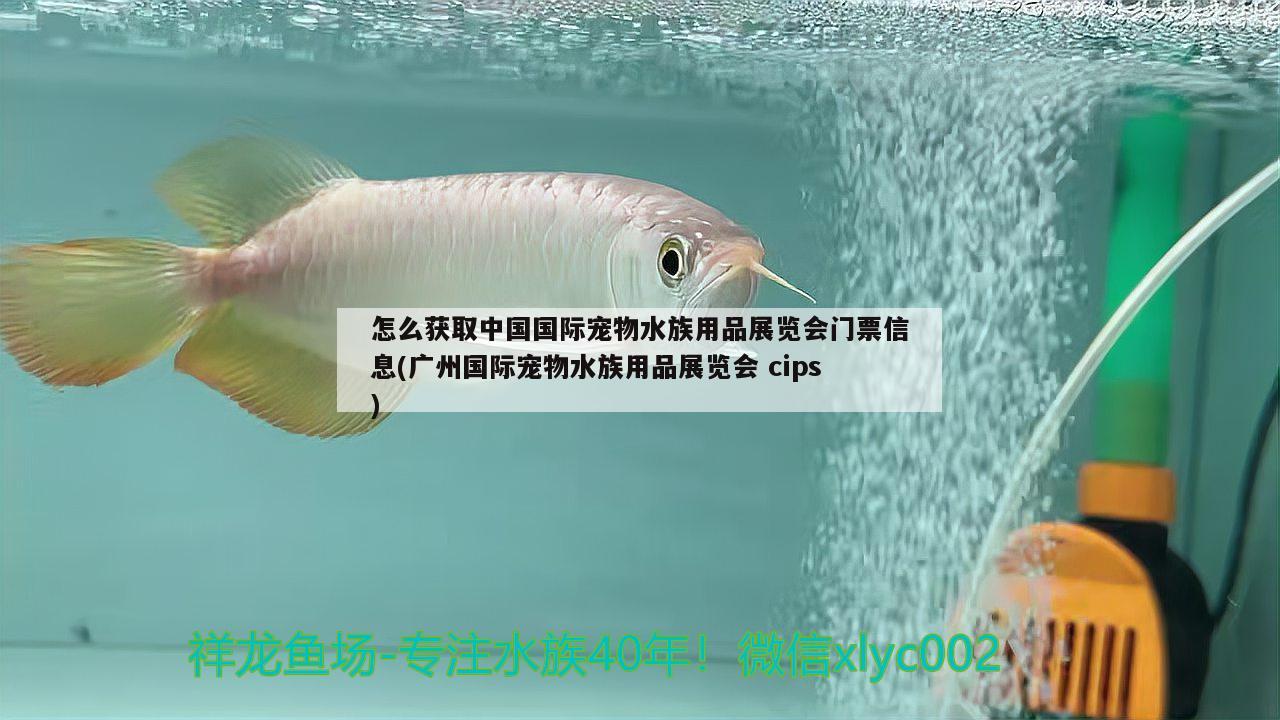 怎么獲取中國國際寵物水族用品展覽會門票信息(廣州國際寵物水族用品展覽會cips) 水族用品