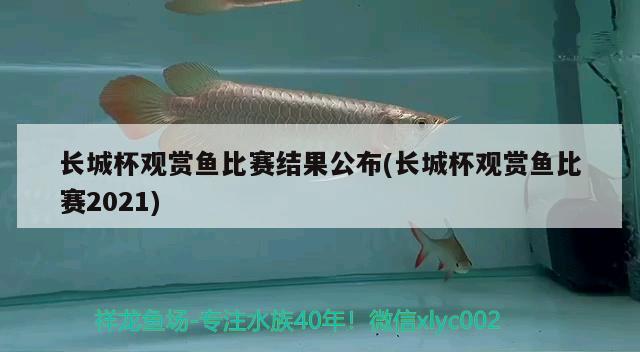 長城杯觀賞魚比賽結(jié)果公布(長城杯觀賞魚比賽2021)