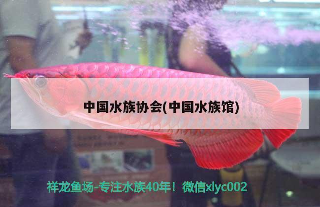 中國水族協(xié)會(中國水族館)