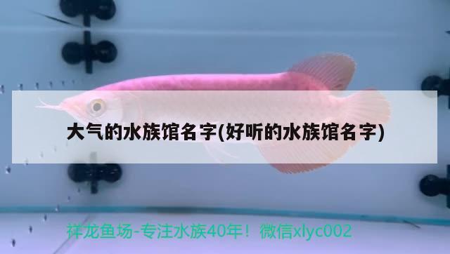 大氣的水族館名字(好聽的水族館名字) 2024第28屆中國國際寵物水族展覽會(huì)CIPS（長城寵物展2024 CIPS） 第1張