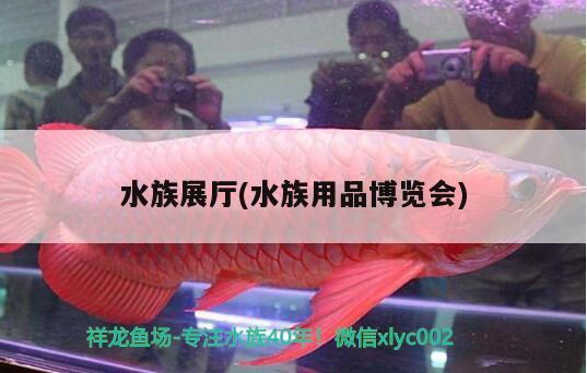 水族展廳(水族用品博覽會) 水族展會