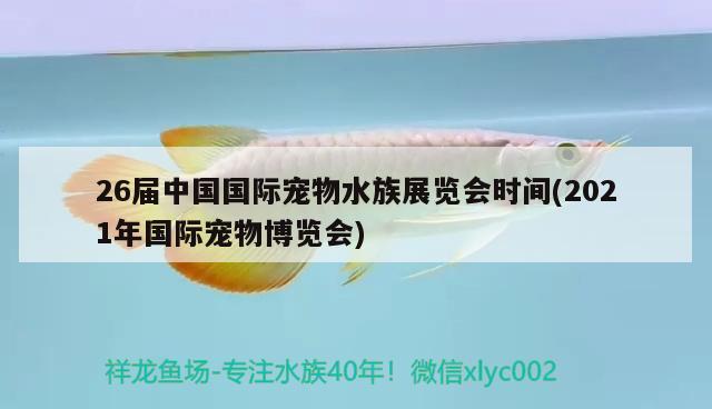 26屆中國(guó)國(guó)際寵物水族展覽會(huì)時(shí)間(2021年國(guó)際寵物博覽會(huì)) 水族展會(huì)