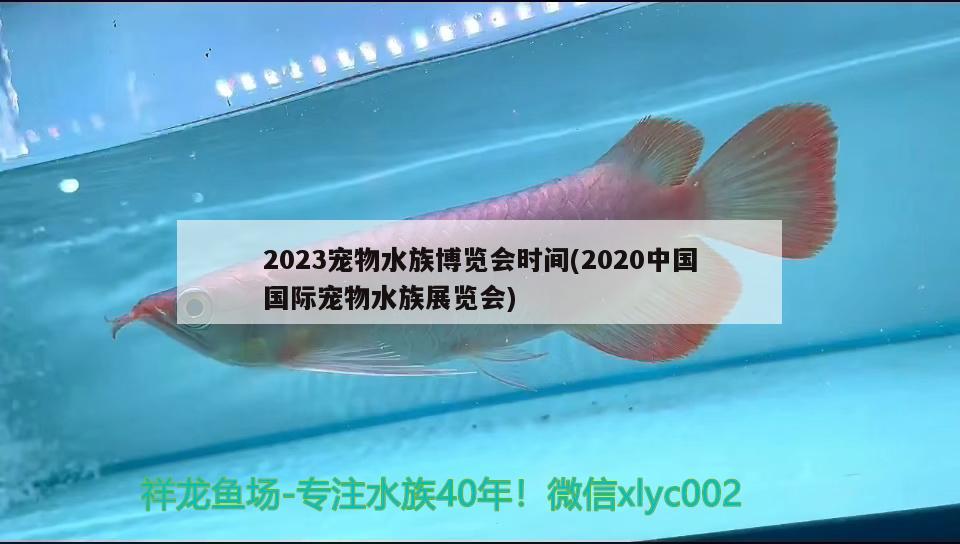 2023寵物水族博覽會時間(2020中國國際寵物水族展覽會) 水族展會