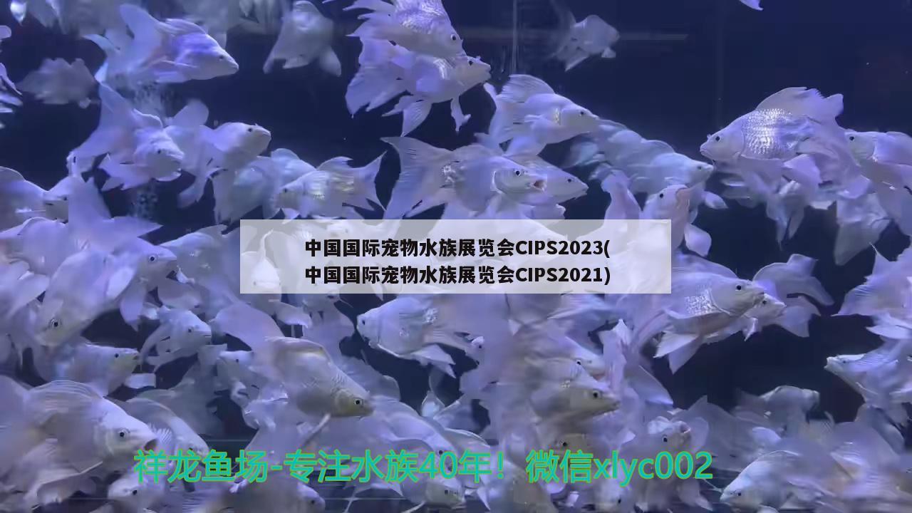 中國(guó)國(guó)際寵物水族展覽會(huì)CIPS2023(中國(guó)國(guó)際寵物水族展覽會(huì)CIPS2021) 水族展會(huì) 第3張