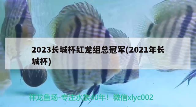 2023長城杯紅龍組總冠軍(2021年長城杯)