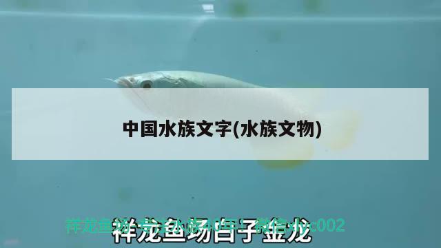 中國水族文字(水族文物) 2025第29屆中國國際寵物水族展覽會CIPS（長城寵物展2025 CIPS）