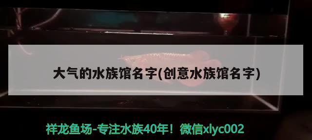 大氣的水族館名字(創(chuàng)意水族館名字) 2024第28屆中國國際寵物水族展覽會(huì)CIPS（長城寵物展2024 CIPS）