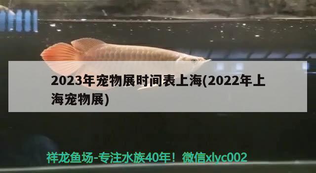 2023年寵物展時間表上海(2022年上海寵物展)