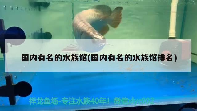 國內(nèi)有名的水族館(國內(nèi)有名的水族館排名)