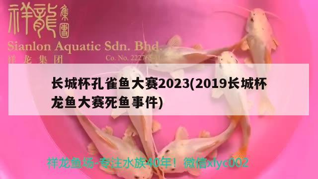 長(zhǎng)城杯孔雀魚大賽2023(2019長(zhǎng)城杯龍魚大賽死魚事件)