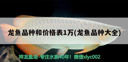 龍魚品種和價格表1萬(龍魚品種大全)