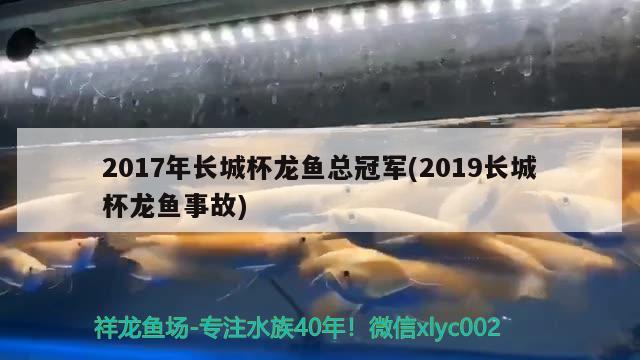 2017年長城杯龍魚總冠軍(2019長城杯龍魚事故) 2024第28屆中國國際寵物水族展覽會CIPS（長城寵物展2024 CIPS）