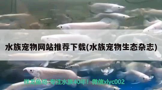 水族寵物網(wǎng)站推薦下載(水族寵物生態(tài)雜志)