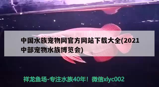 中國(guó)水族寵物網(wǎng)官方網(wǎng)站下載大全(2021中部寵物水族博覽會(huì))