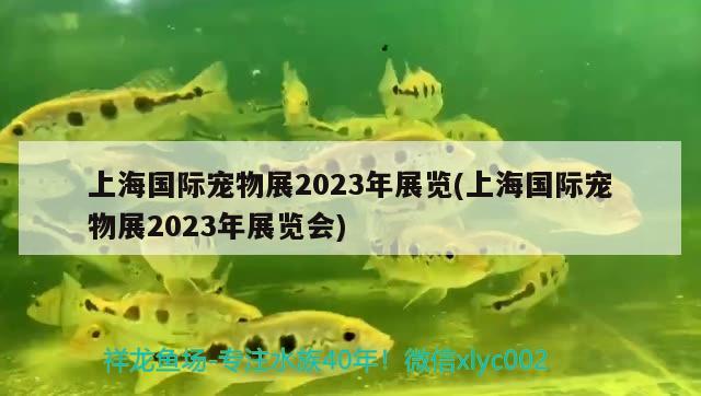 上海國際寵物展2023年展覽(上海國際寵物展2023年展覽會)