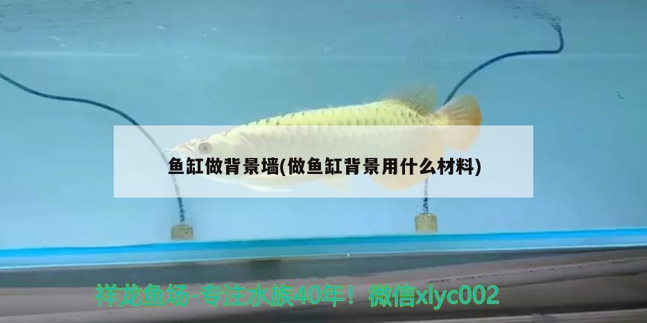 魚缸做背景墻(做魚缸背景用什么材料) 祥龍水族護理水