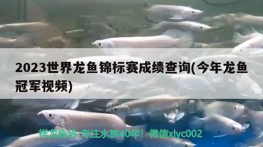 2023世界龍魚錦標賽成績查詢(今年龍魚冠軍視頻) 2024第28屆中國國際寵物水族展覽會CIPS（長城寵物展2024 CIPS）