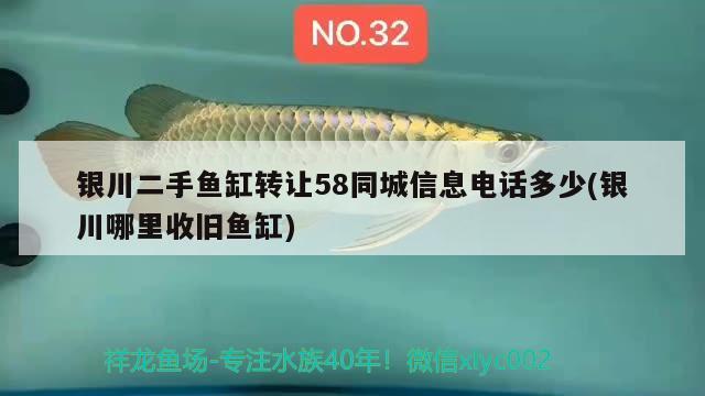 銀川二手魚缸轉(zhuǎn)讓58同城信息電話多少(銀川哪里收舊魚缸)