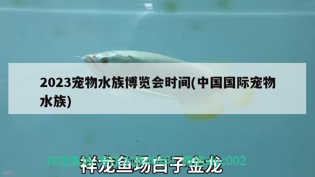 2023寵物水族博覽會(huì)時(shí)間(中國國際寵物水族)