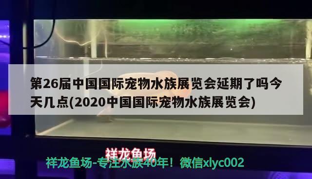 第26屆中國國際寵物水族展覽會(huì)延期了嗎今天幾點(diǎn)(2020中國國際寵物水族展覽會(huì))