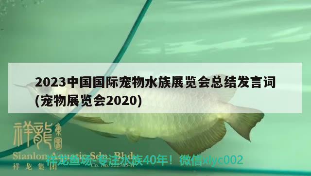 2023中國國際寵物水族展覽會總結(jié)發(fā)言詞(寵物展覽會2020) 水族展會