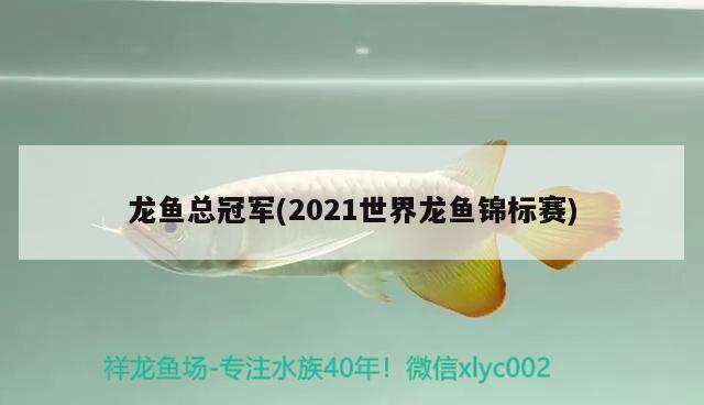 龍魚(yú)總冠軍(2021世界龍魚(yú)錦標(biāo)賽) 2024第28屆中國(guó)國(guó)際寵物水族展覽會(huì)CIPS（長(zhǎng)城寵物展2024 CIPS）