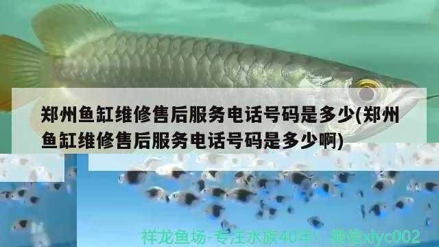 2023廣州國際寵物水族展(廣州寵物水族展會) 水族展會