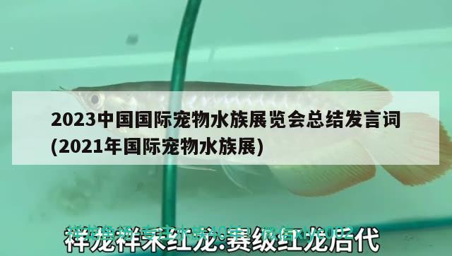 2023中國國際寵物水族展覽會總結(jié)發(fā)言詞(2021年國際寵物水族展)