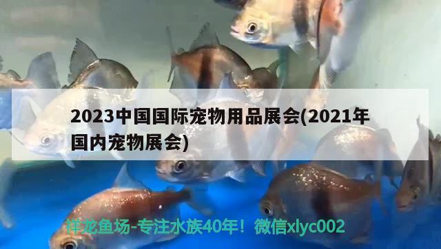 2023中國國際寵物用品展會(huì)(2021年國內(nèi)寵物展會(huì))