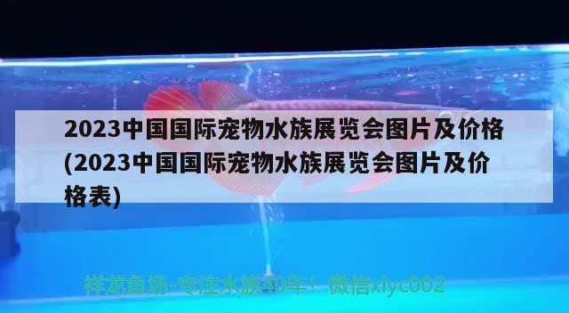 2023中國國際寵物水族展覽會(huì)圖片及價(jià)格(2023中國國際寵物水族展覽會(huì)圖片及價(jià)格表) 水族展會(huì)